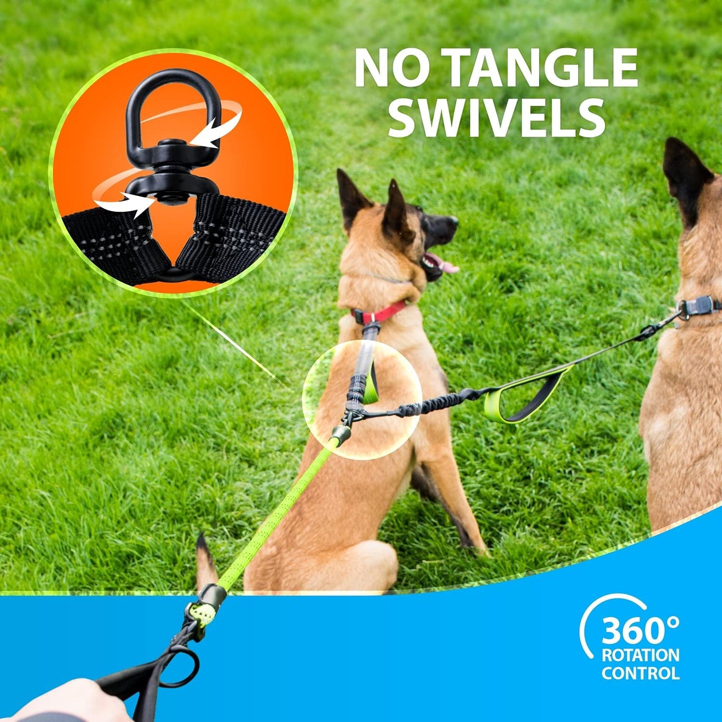 Hundeleine für 2 Hunde mit Bungee Ruckdämpfer, 165 cm lang, Grün, Für 2 mittelgrosse/grosse Hunde