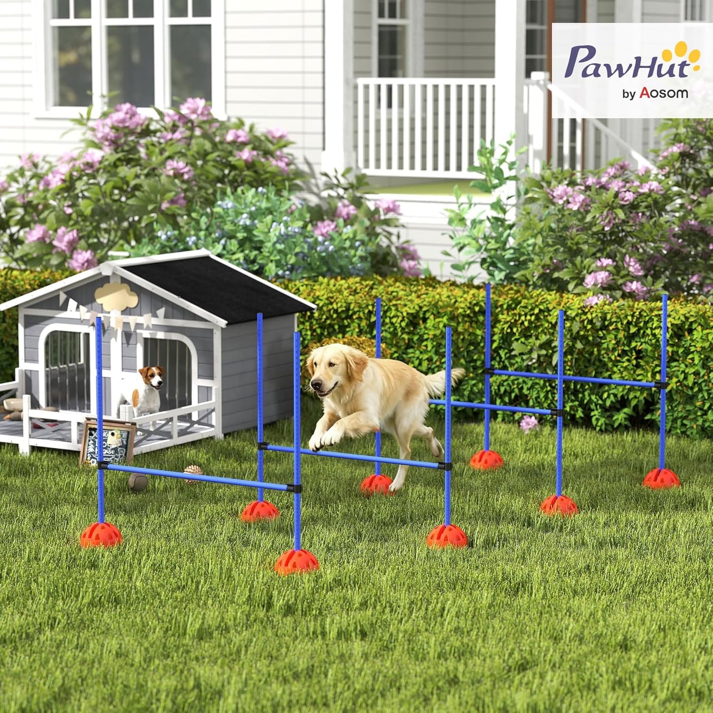 Agility Trainingsset, Blau