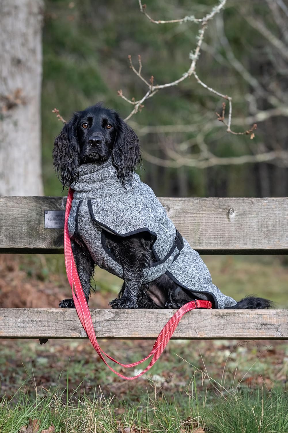 Comfy Knit Hundejacke, 30