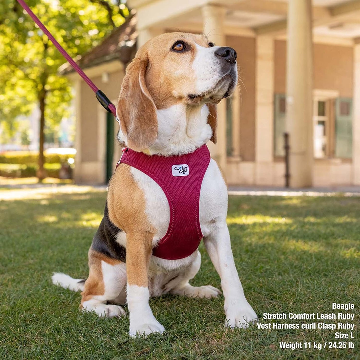 Clasp Air-Mesh Vest Hundegeschirr, Ruby L Einfarbig