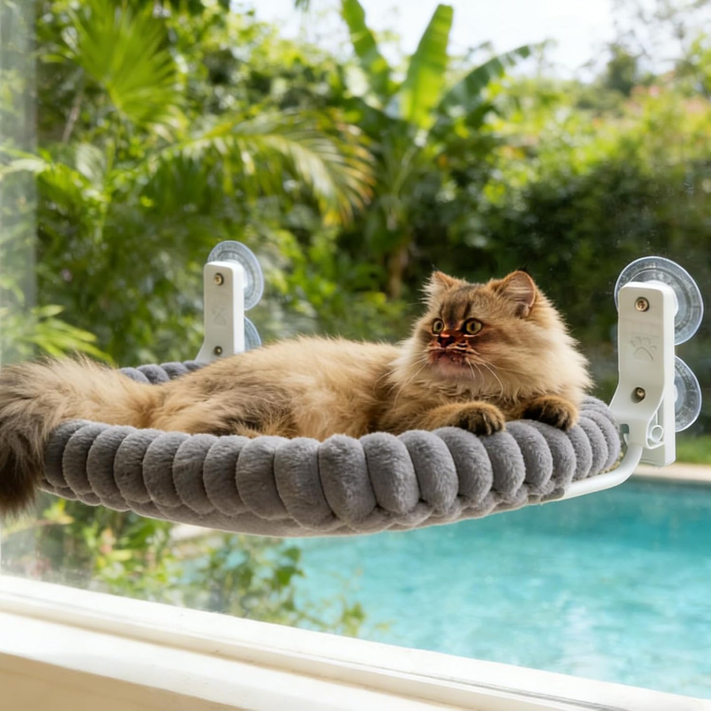 Fensterliege für Katzen, Grau