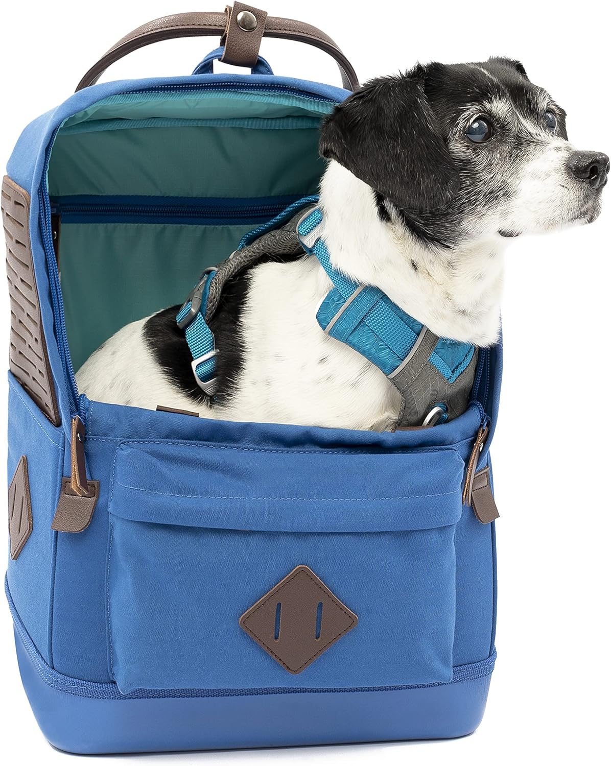 Hunderucksack für Outdoor-Abenteuer, Blau