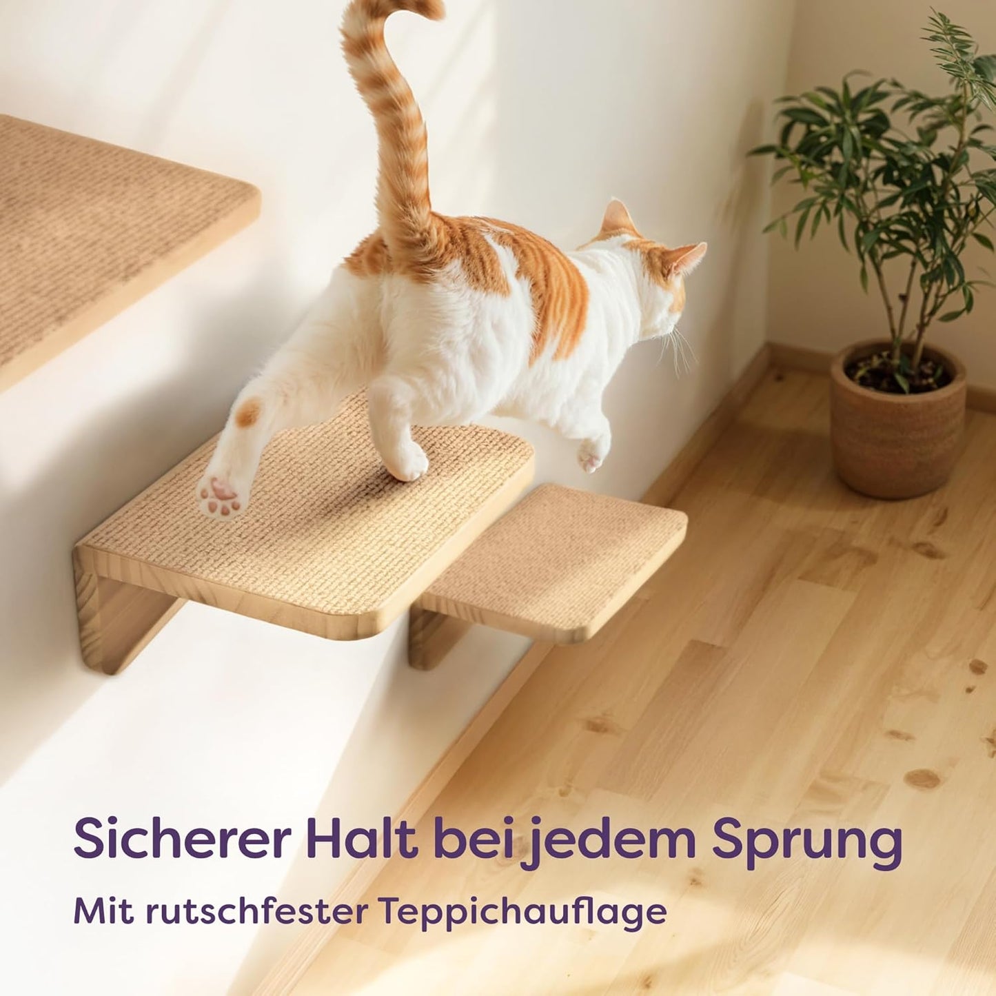 3-teiliges Katzen-Kletterwand-Set