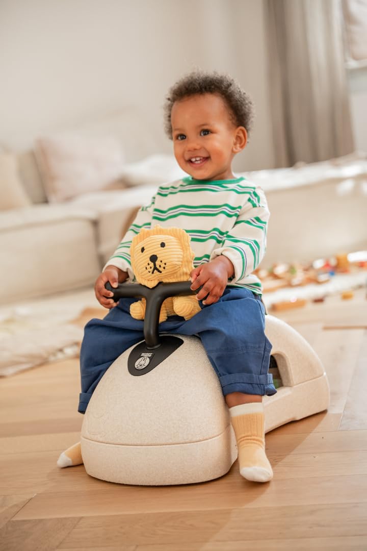 3in1 Babyroller