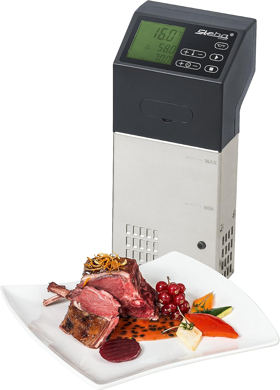 SV 100 Professional
