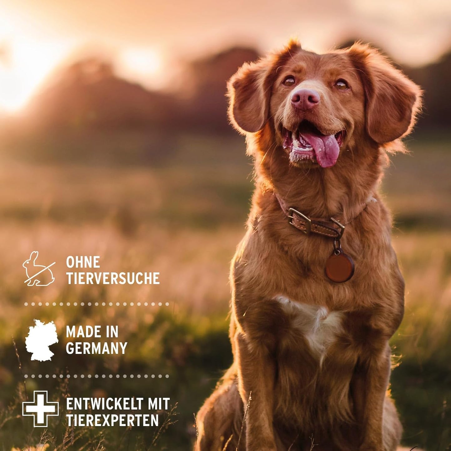 Neemöl Hundeshampoo