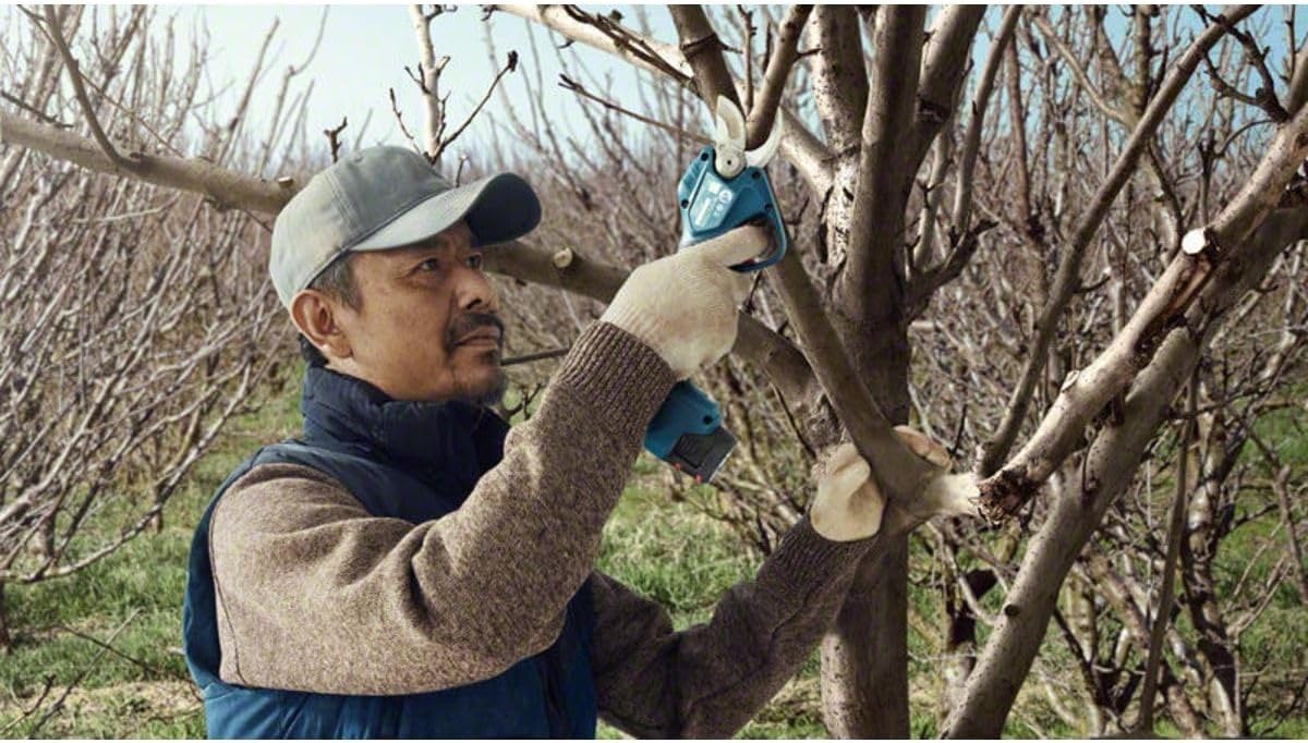 Akku-Astschere Pro Pruner, ohne Akku, Pro Pruner ohne Akku