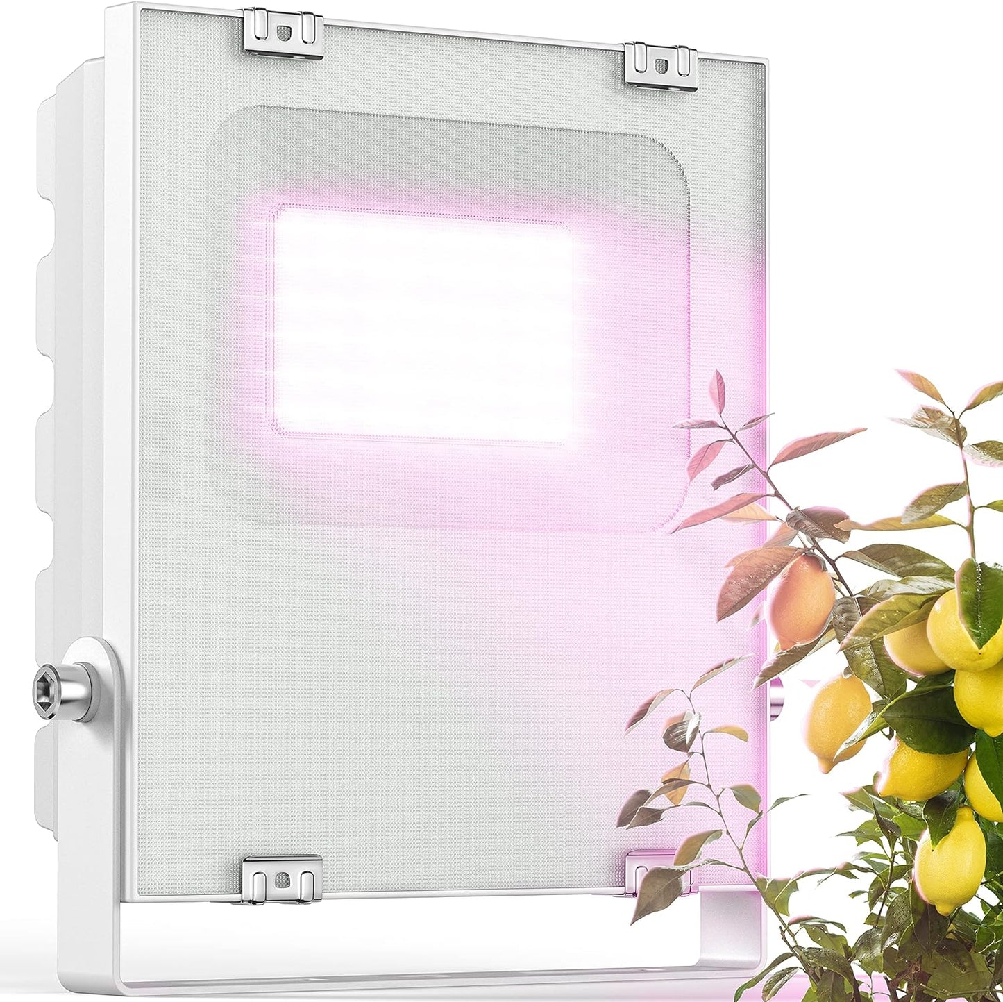 LED Vollspektrum Pflanzenlicht, 20.0 Watt