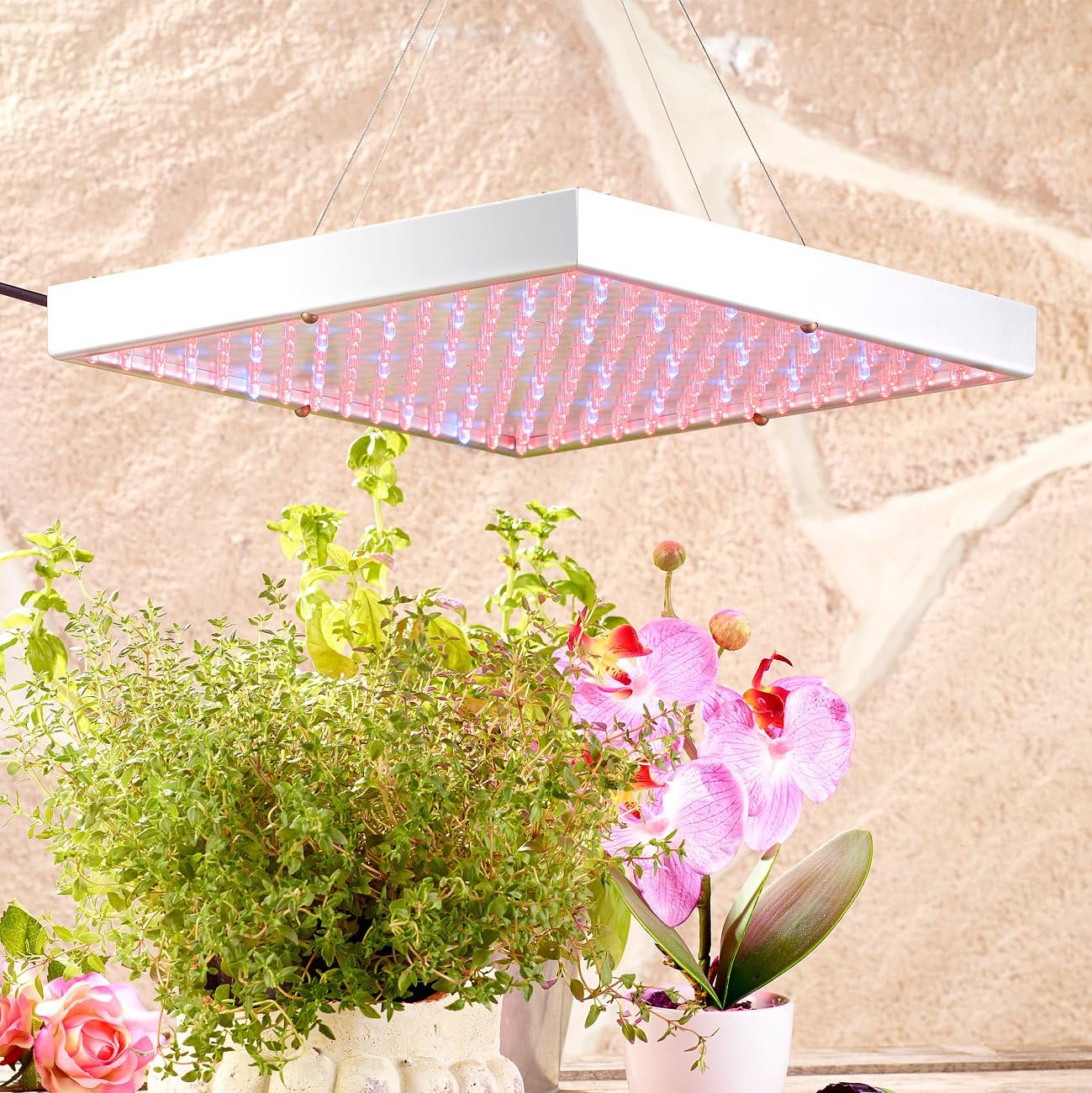 LED-Pflanzen-Wachstumslampe