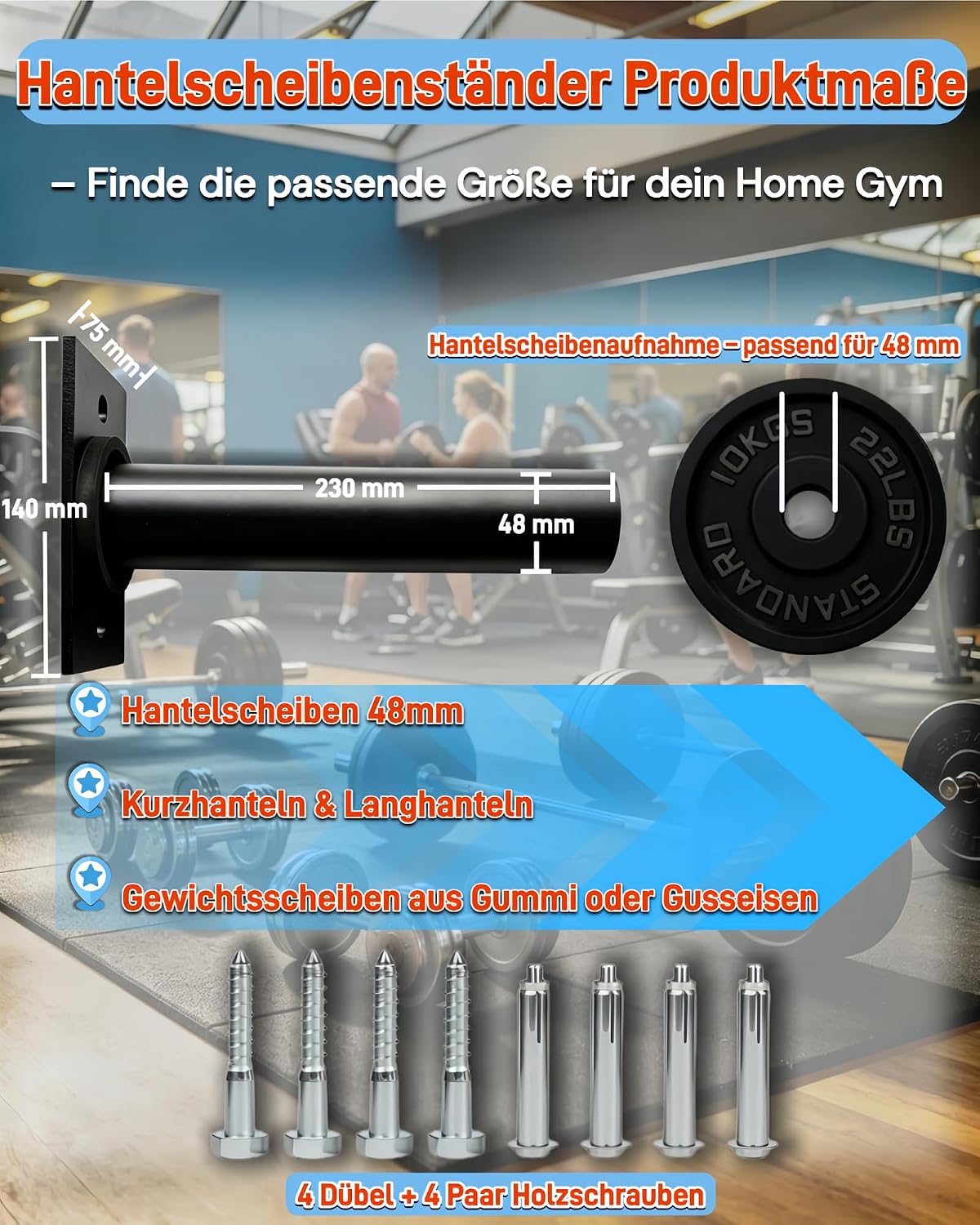 Hantelscheibenständer Wandmontage 2er-Set