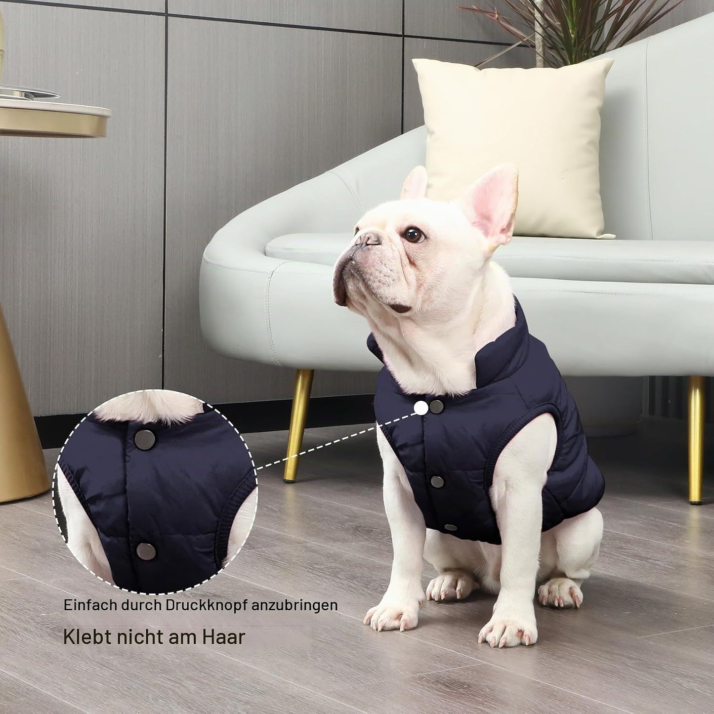 Gefütterte Hundejacke, XL Blau