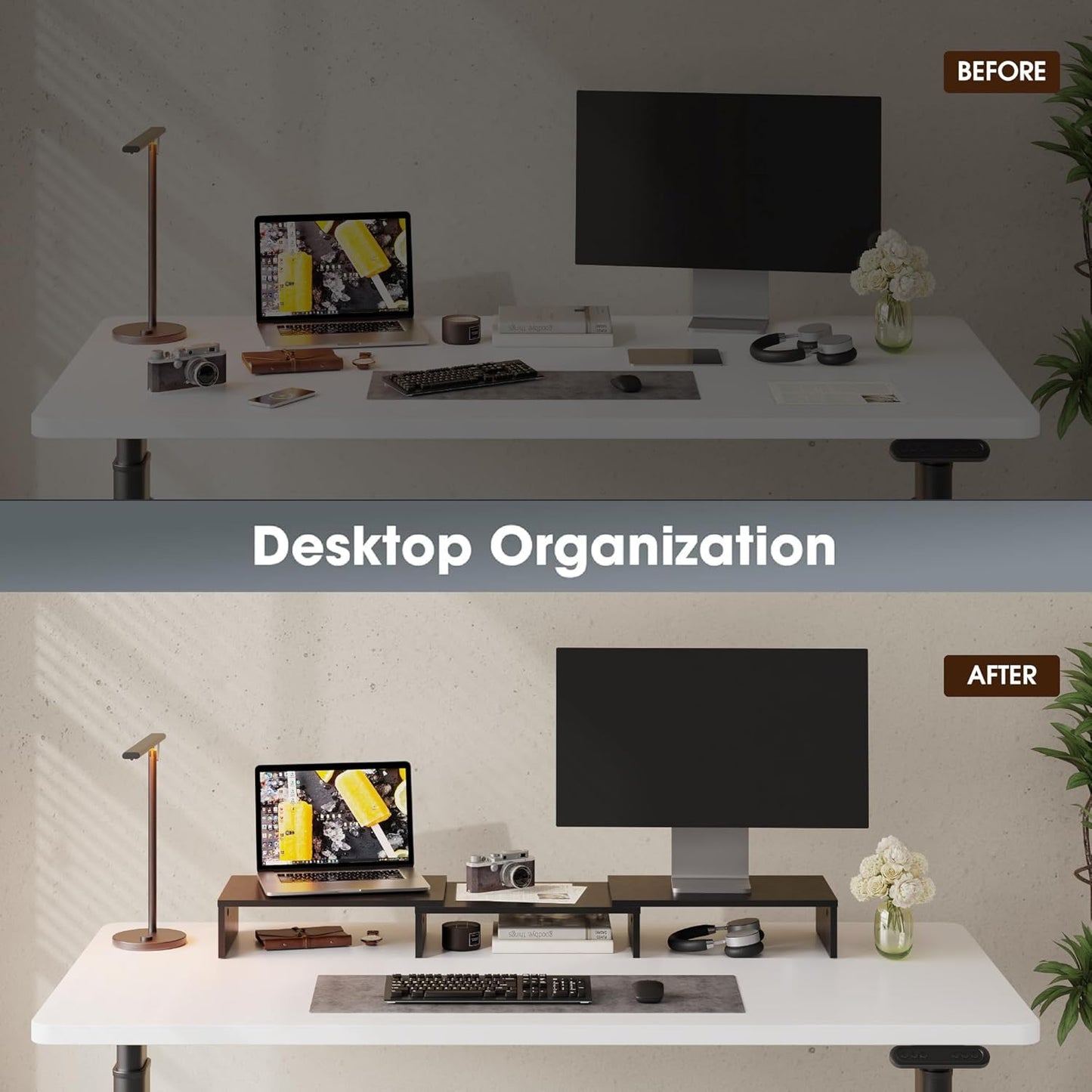 Dual Monitorständer, verstellbar, Schwarz