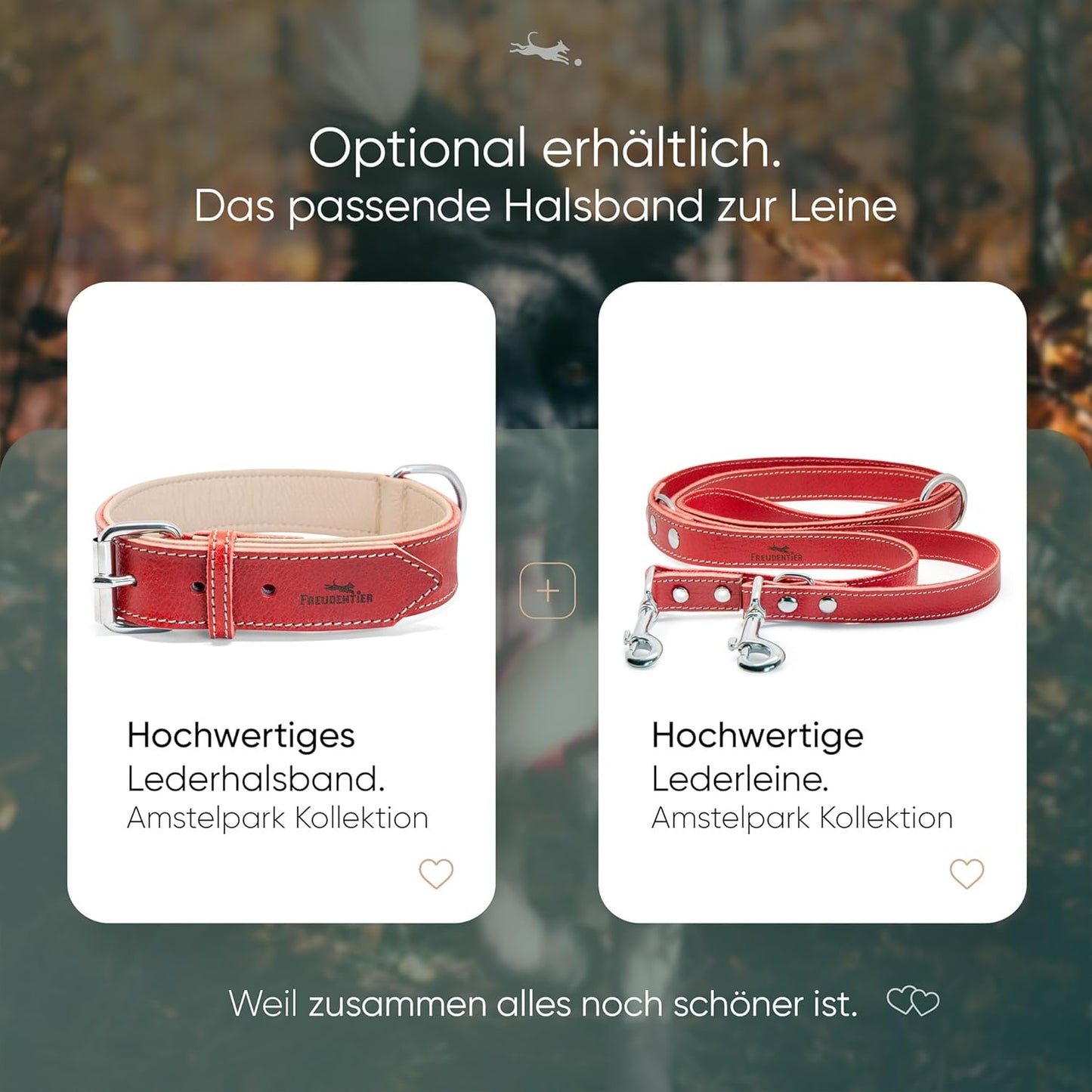 Verstellbare Hundeleine Amstelpark mit Leinensäckchen, 25mm Breite|Rot