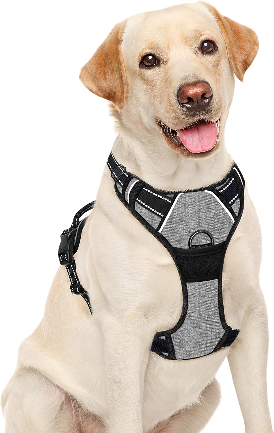 Hundegeschirr mit Frontclip, Large(Chest:27-32") Flint Gray