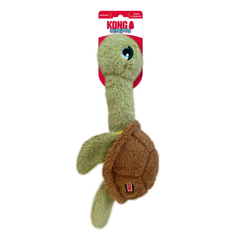 Scruffs Schildkröte, Schildkröte