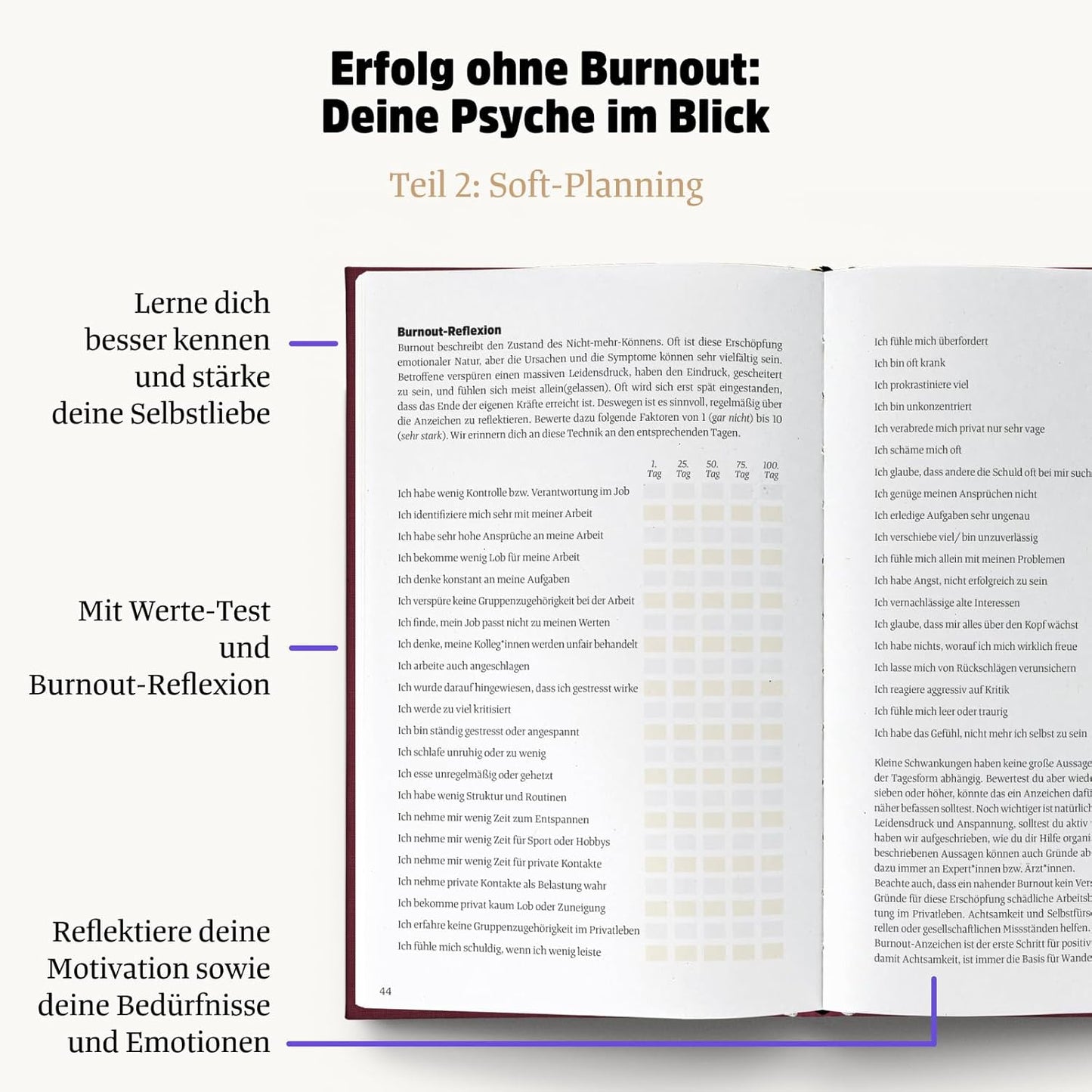 Ein gutes Projekt, Lavendel