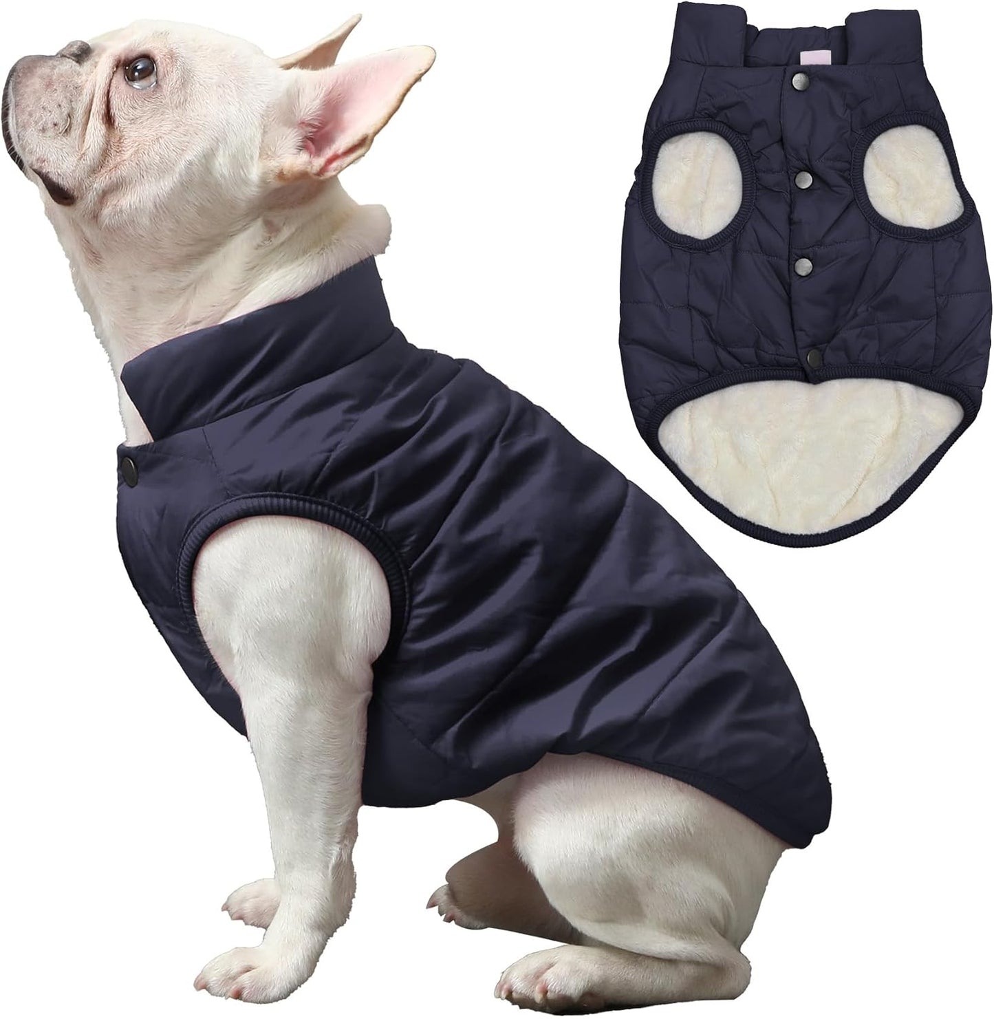 Hundejacke für Winter, 2-lagiges Fleece, Winddicht, X-Small (Pack of 1) Blau