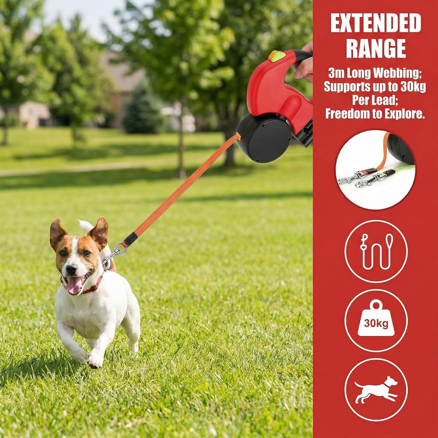 Einziehbare Doppelleine mit LED für 2 Hunde, 3m, Rot