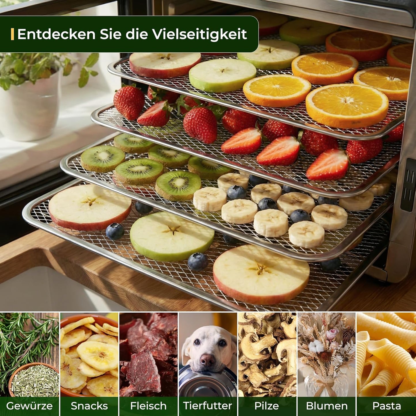 Dörrautomat mit Timer, Dörrautomat 500