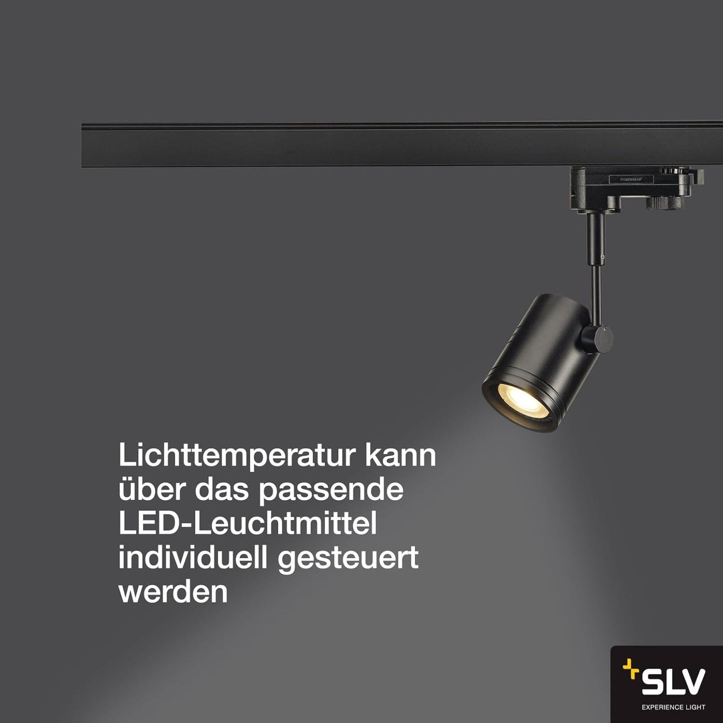 Spot für Hochvolt-Stromschiene 3-Phasen, Bima Spot Qpar51 50W Schwarz Matt 3Ph
