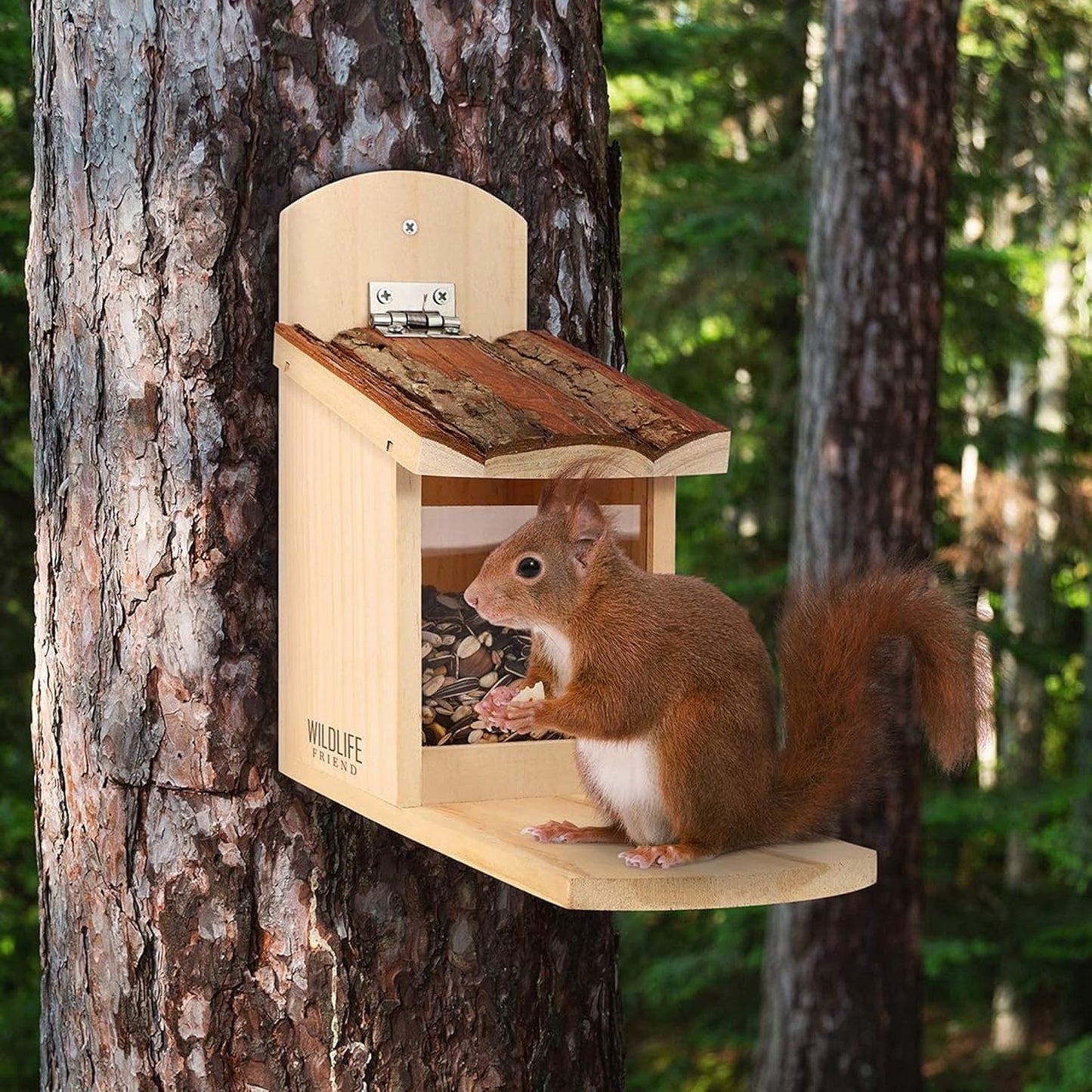 Eichhörnchen Futterhaus, 12,5cm x 29cm x 25cm (LxBxH)