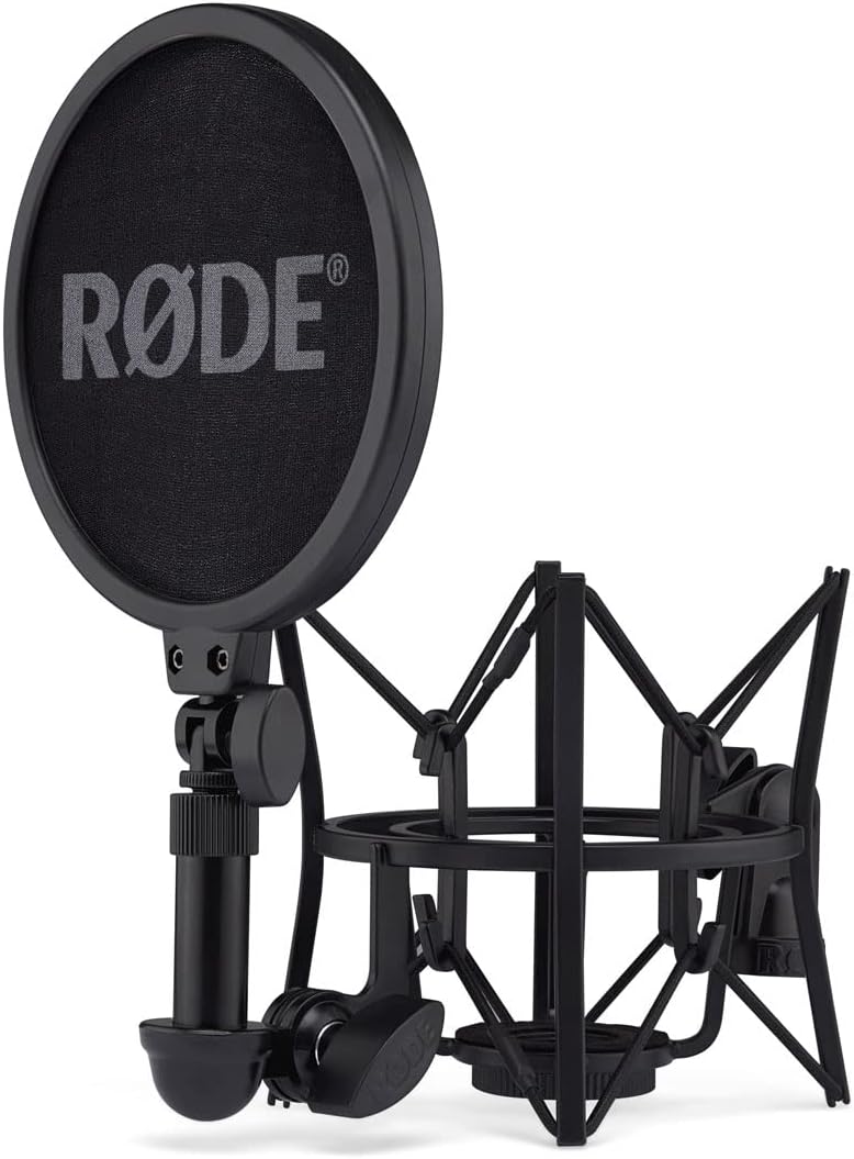 NT1 Mikrofon mit WS2 Popfilter