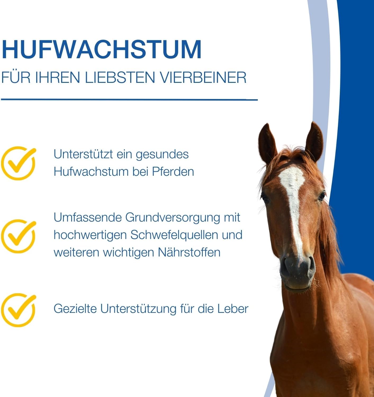 Biotin Pferd-Nahrungsergänzung mit MSM & Zink