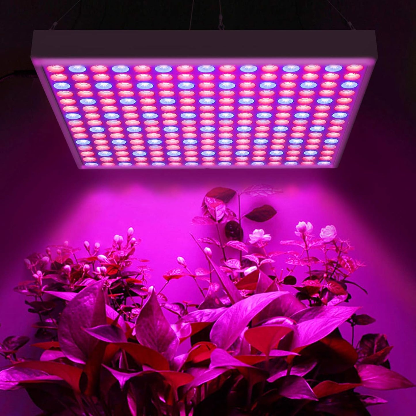 Pflanzenlampe mit 225 LEDs für Zimmerpflanzen, 45w