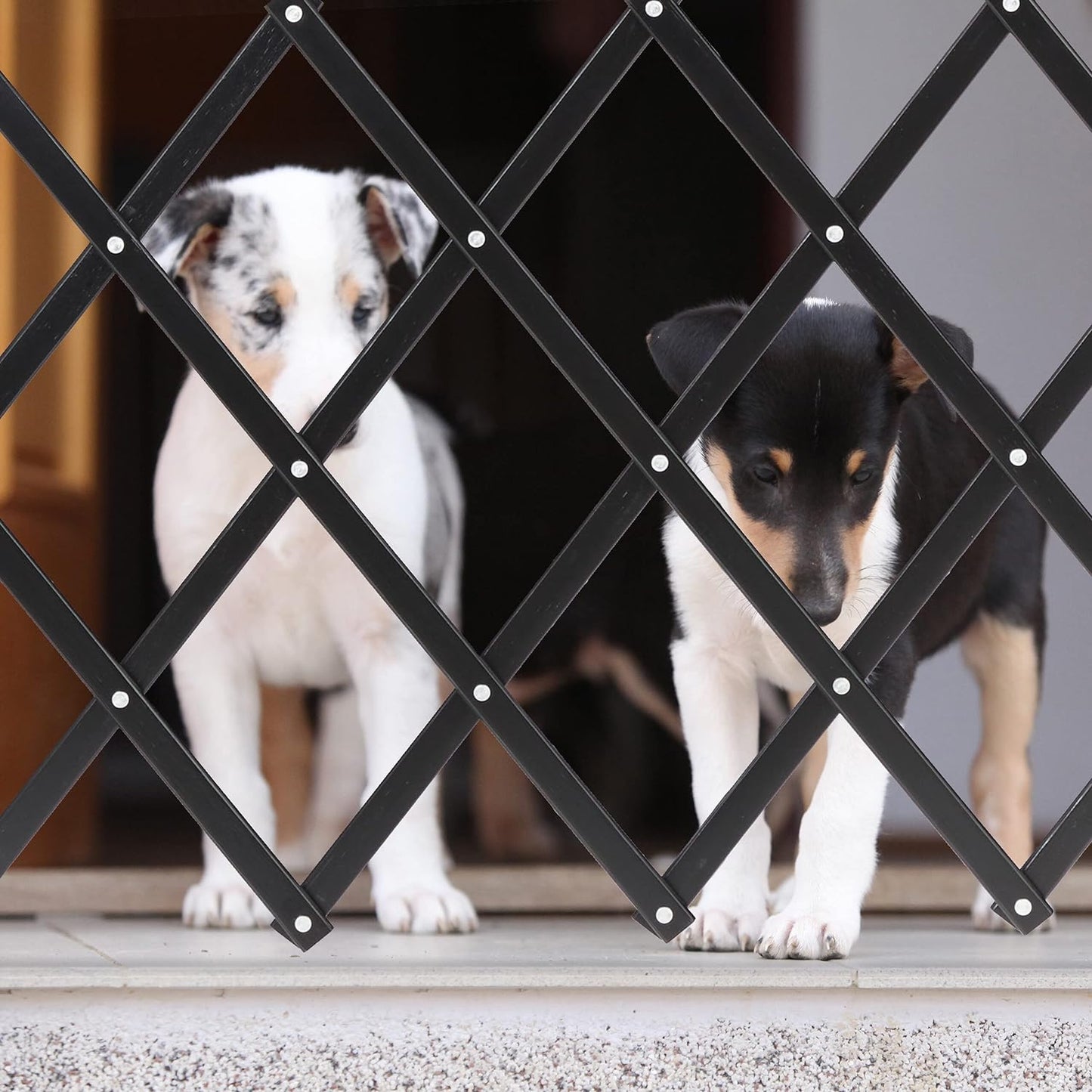 Hundeabsperrgitter, M