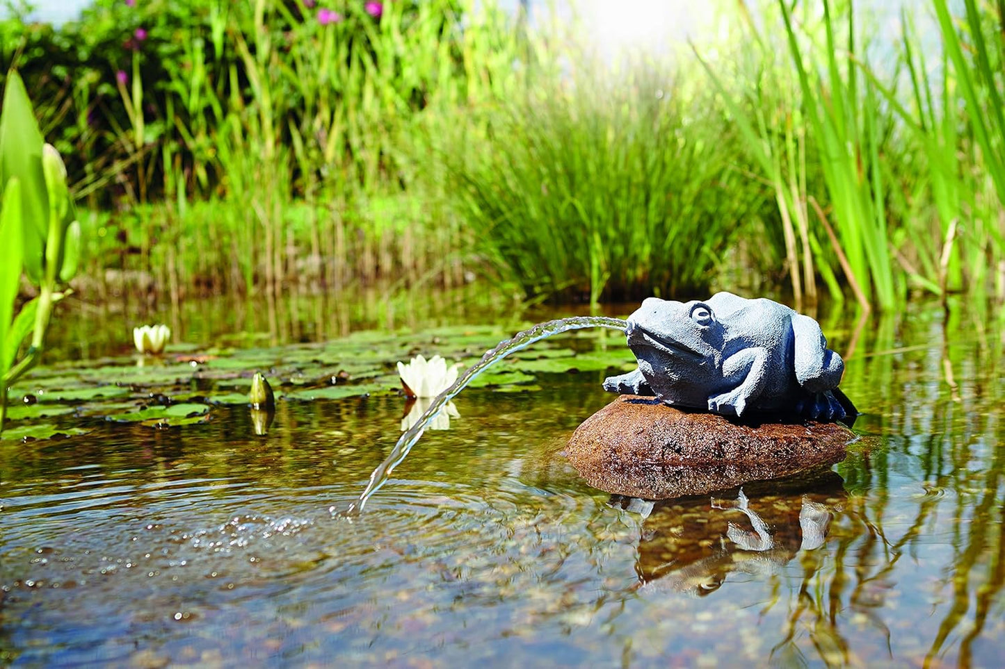 Wasserspeier Frosch