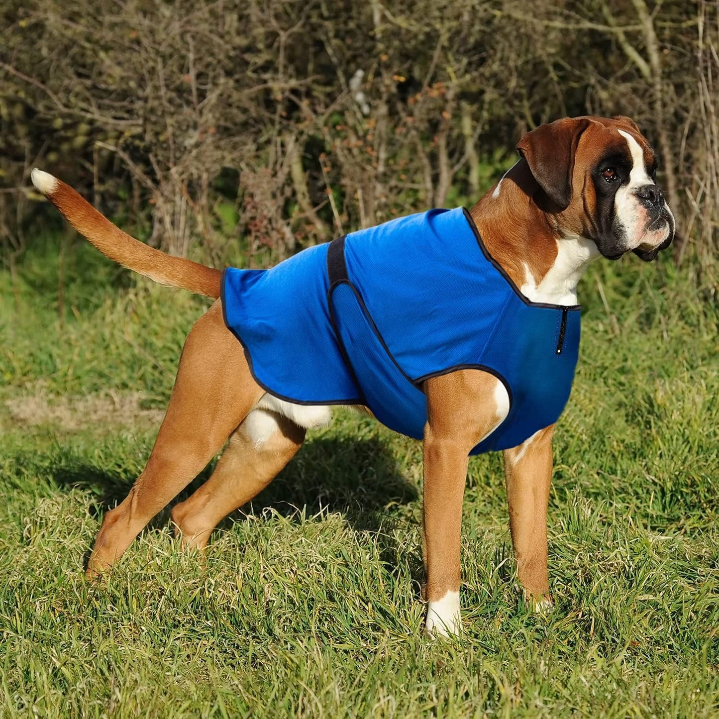 Hundemantel, 2XL Blau
