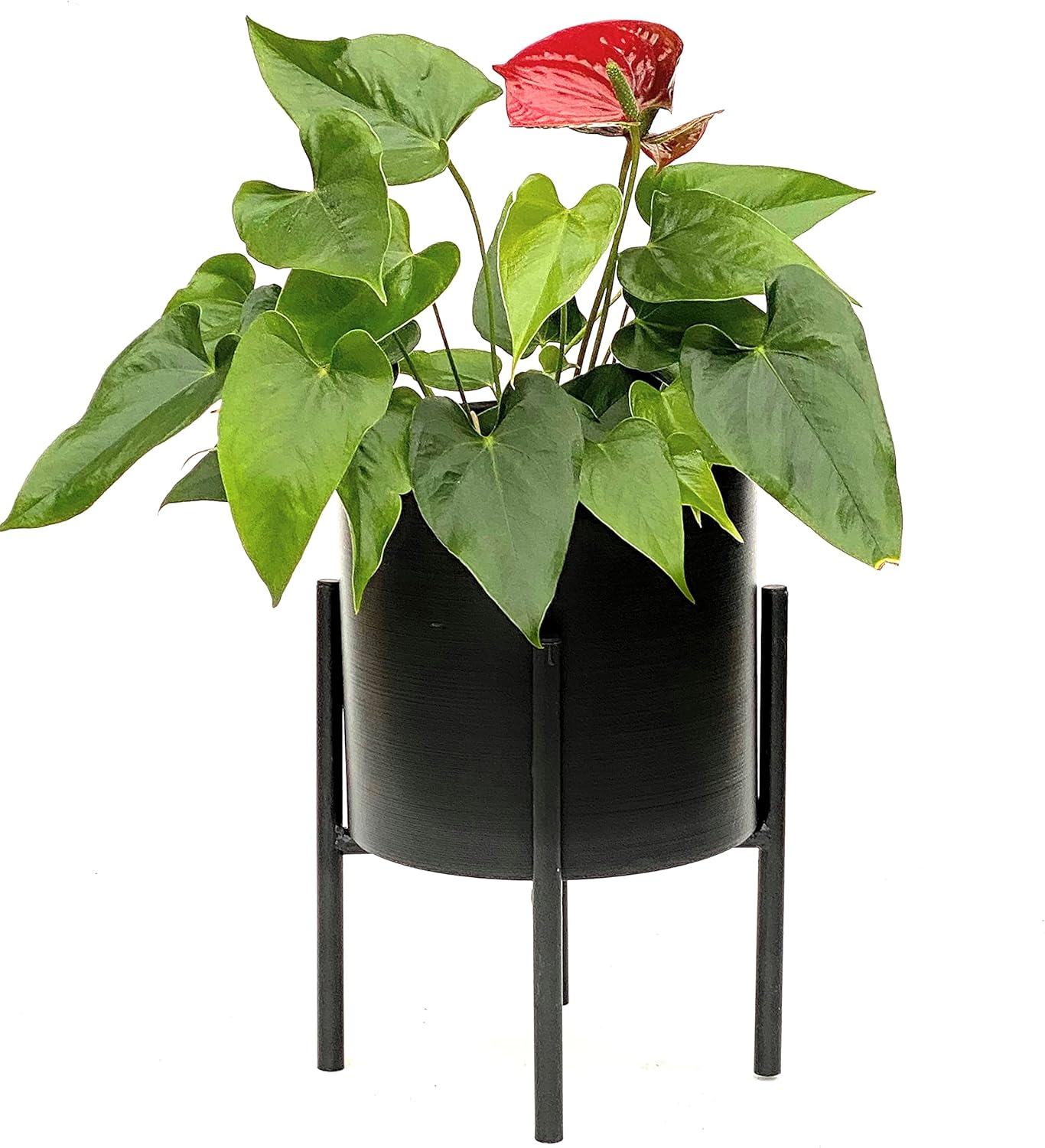 Blumenhocker mit Topf