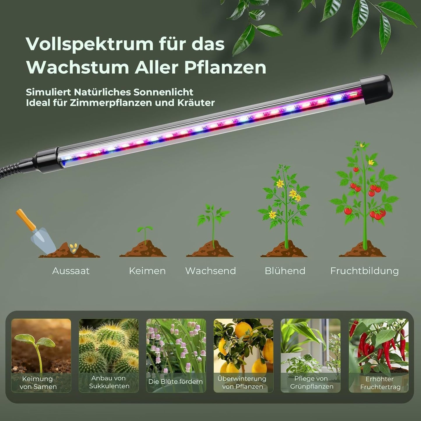 LED Pflanzenlampe Vollspektrum mit Timer & Dimmer, 8 W