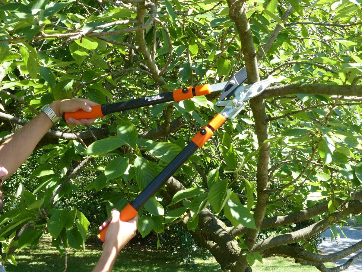 Astschere mit Ratschenmechanismus 67 cm, Single