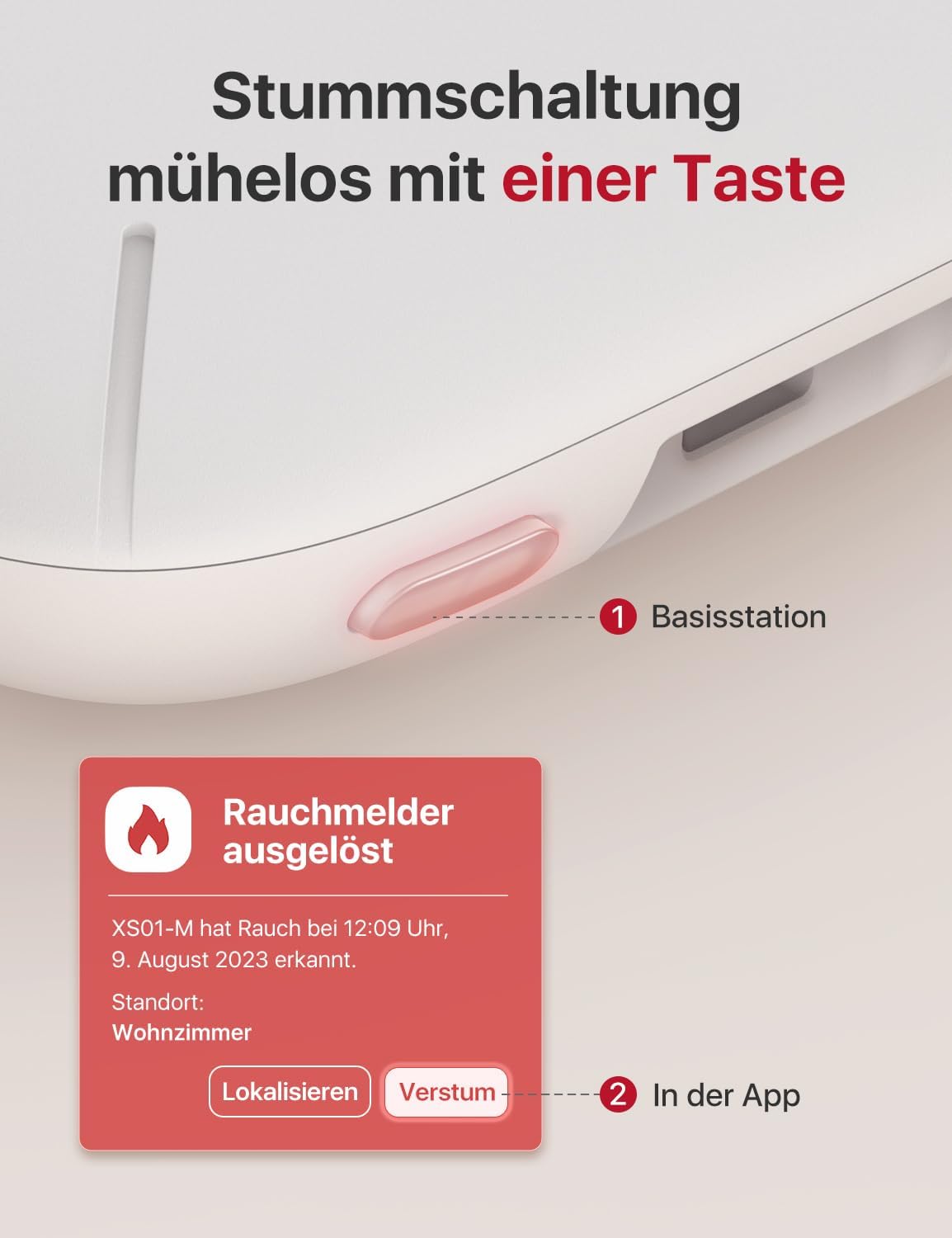 6 x XS01-M Rauchmelder mit Basisstation SBS50