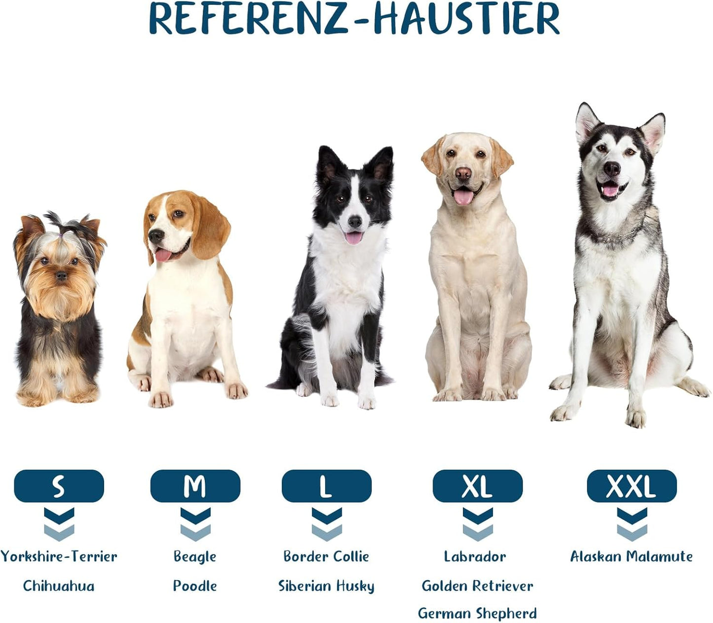 Saugfähiger und schnell trocknender Hundebademantel, Grau, XXL