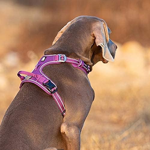 No Pull Hundegeschirr, L Blue