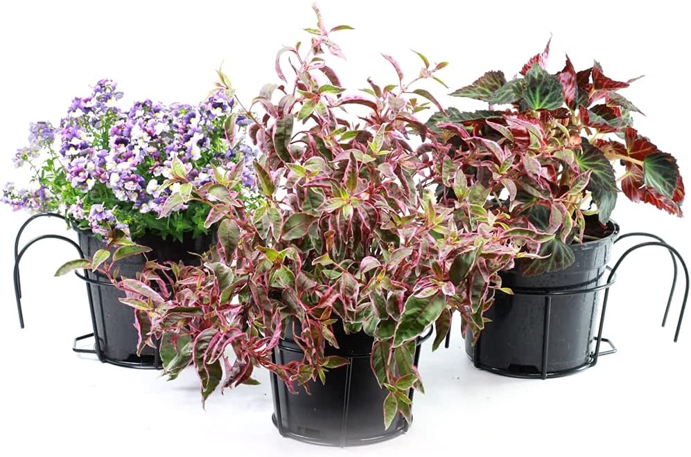 Blumentopfhalter, Schwarz