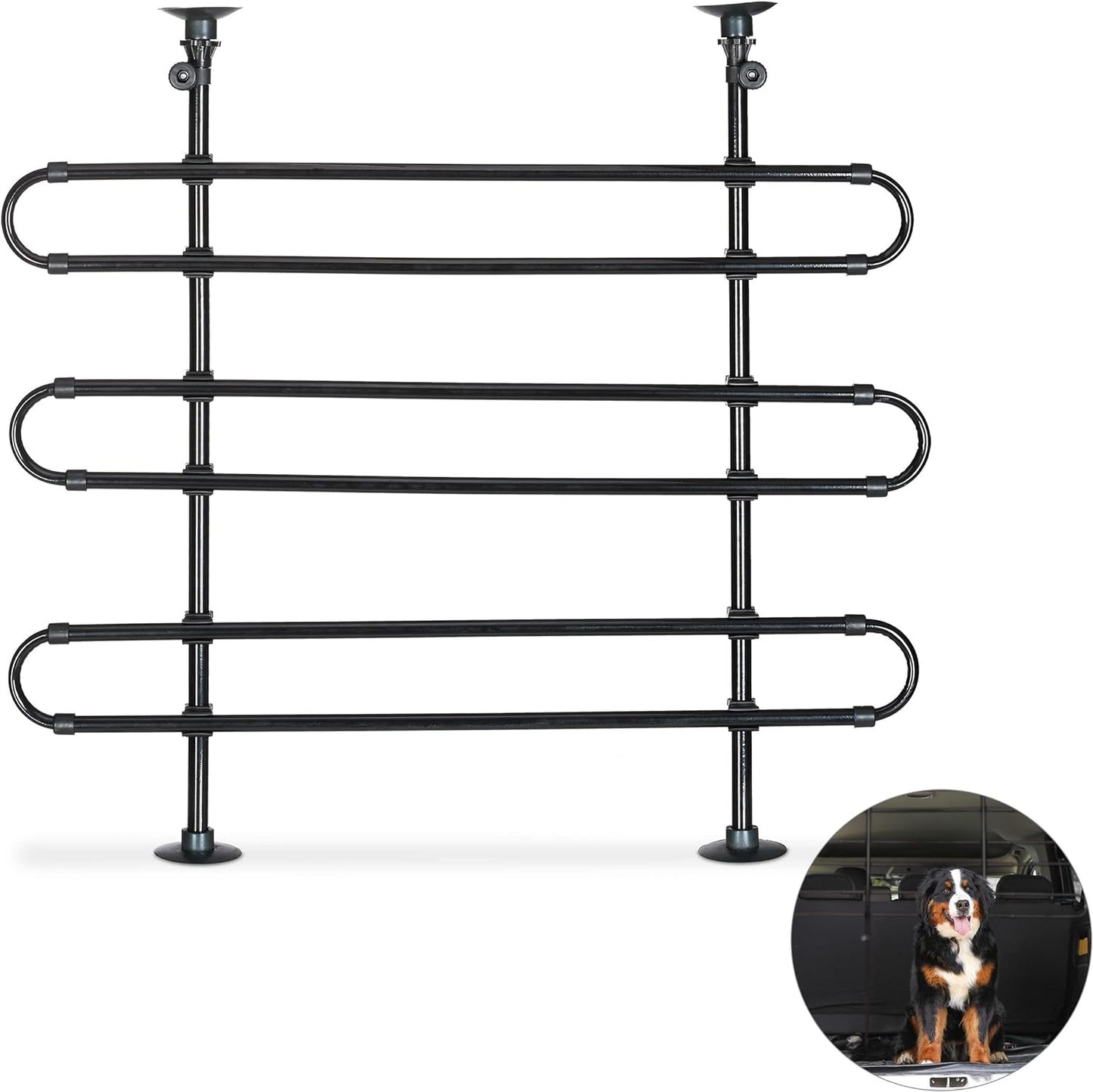 Hundegitter Auto