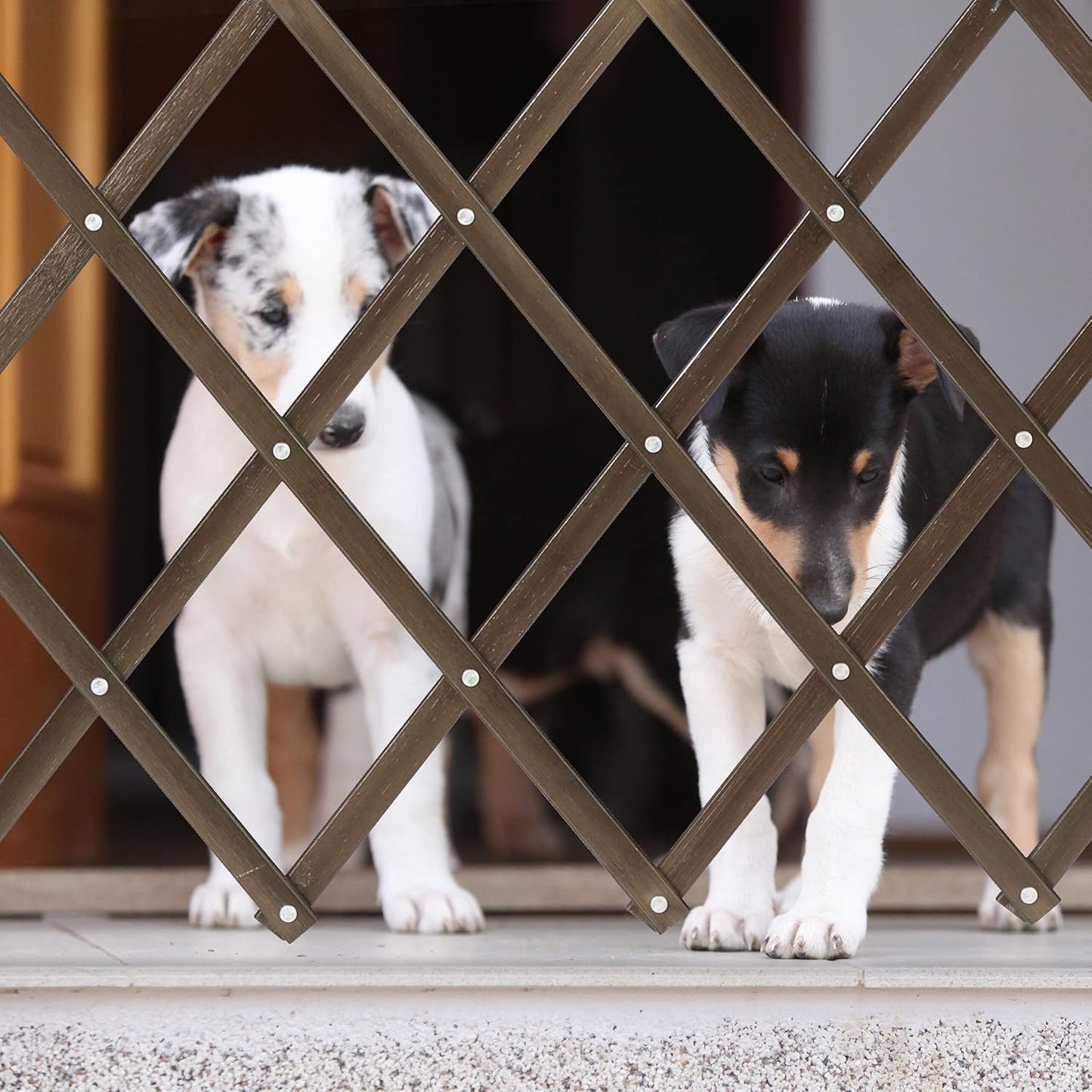 Hundeabsperrgitter, M
