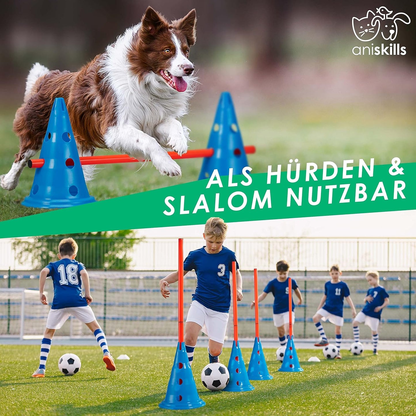 15-teiliges Agility Trainings-Set, 5er Set