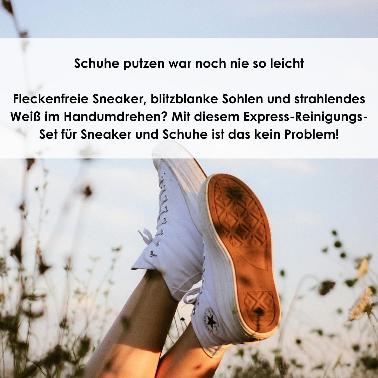 Express Sneaker Reinigungs-Set (5-teilig)