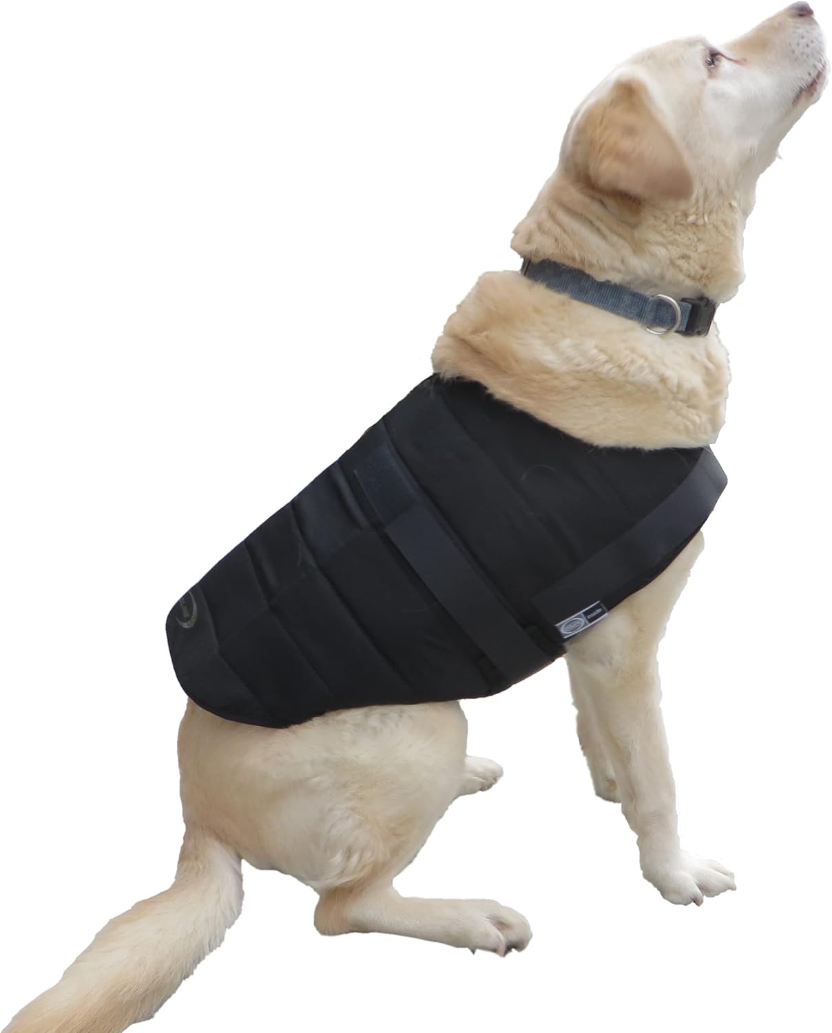 PowerDog SX3 Hundekühlweste, S