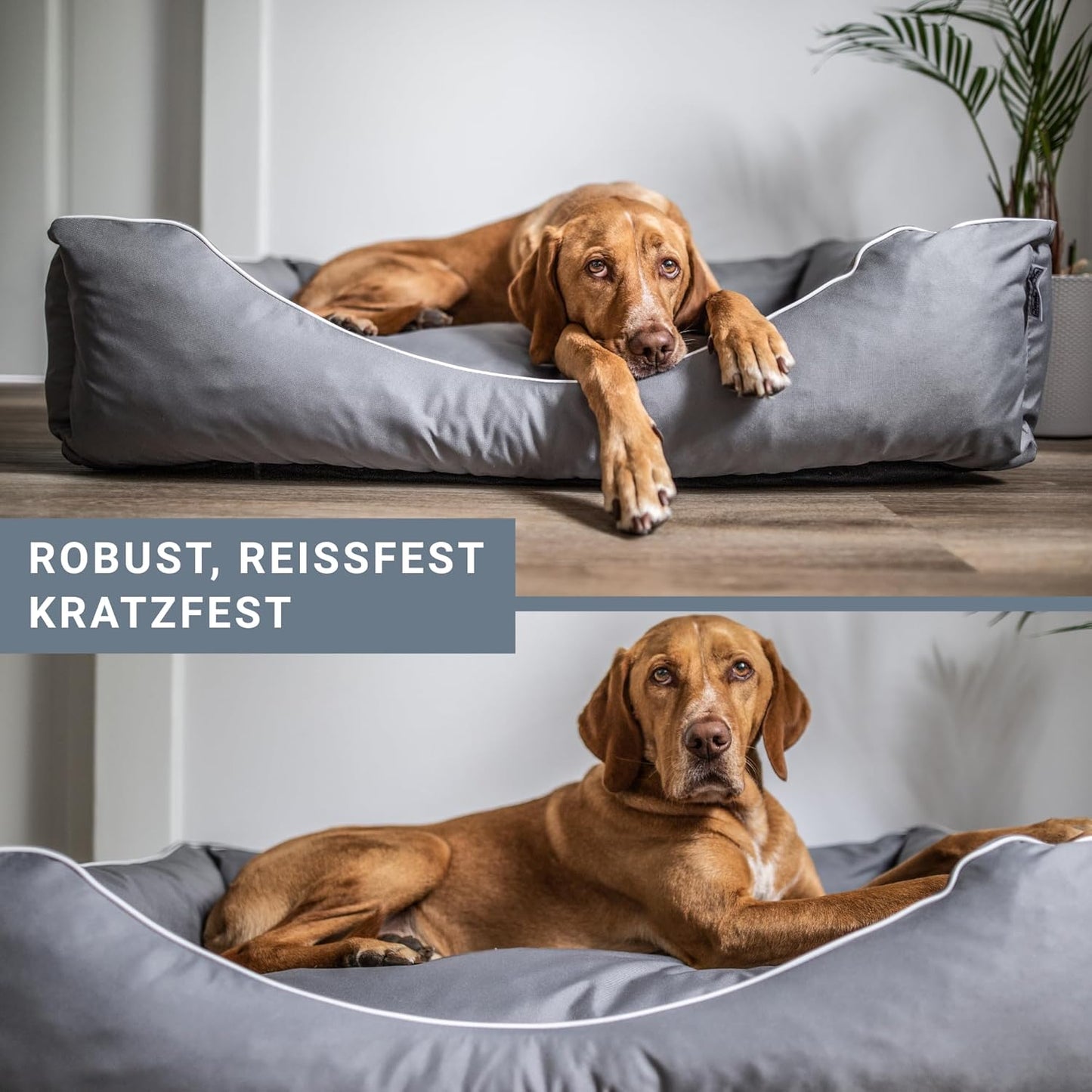 Hundebett, L 80 x B 60 x H 20 cm Grau