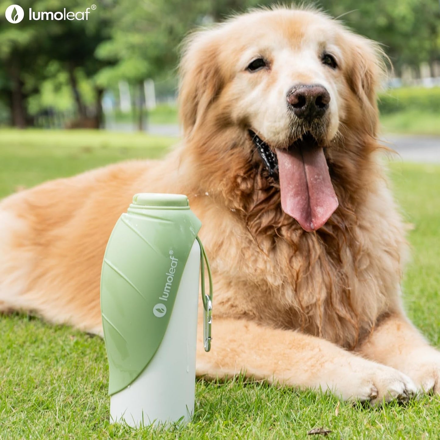 Isolierte Wasserflasche für Hunde, Grün 800 ml