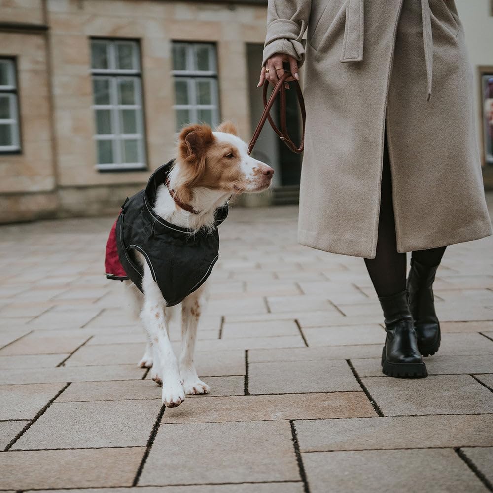 Hundemantel Uppsala Cozy, wasser- und windabweisend, anthrazit/rot 30