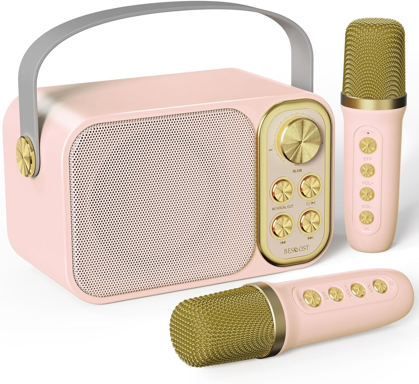 Karaoke Maschine mit 2 Mikrofonen, Rosa