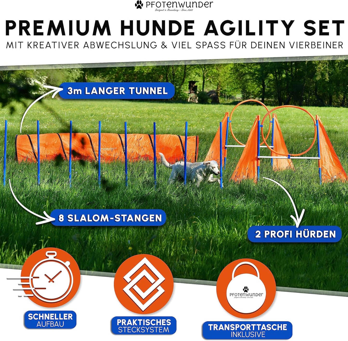 Agility-Set für Hunde