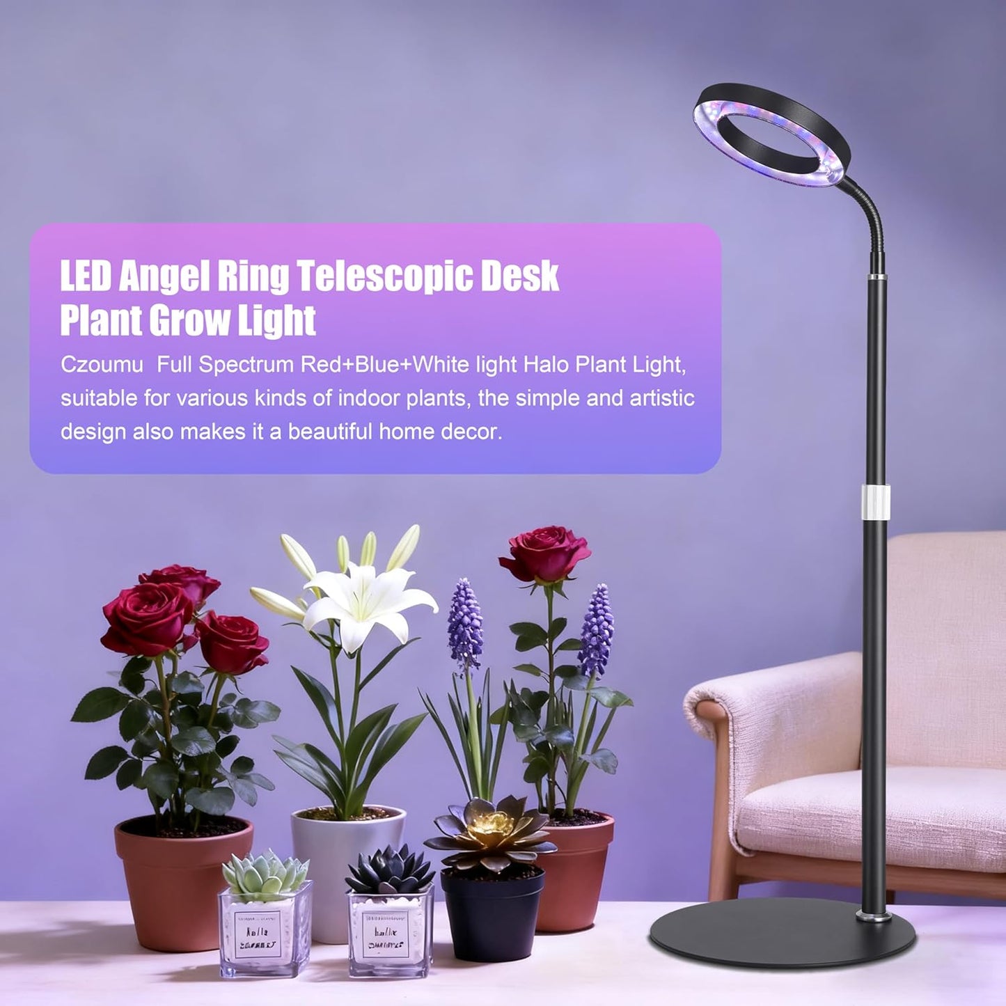 Vollspektrum-Wachstumslicht mit Timer, Schwarz Rgb 1-pack
