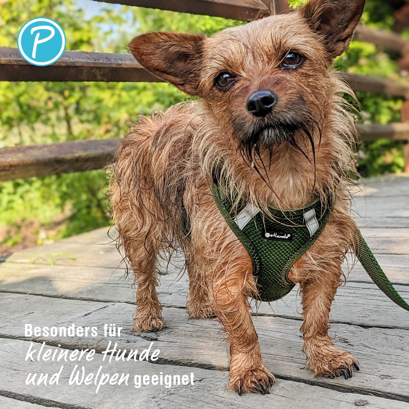 Hundegeschirr Mesh Vest, Olive XL